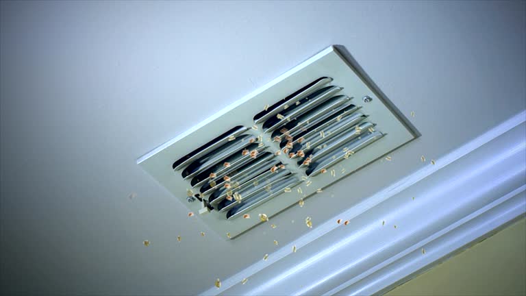 Best Affordable Air Duct Cleaning  in Skidmore, TX